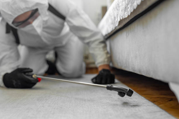 Professional Pest Control technician working in Roosevelt County County, MT